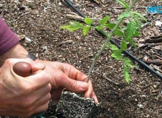 Clean eating and GMO’s: what are they and how do they effect my health? Clean eating and GMO's: what are they and how do they effect my health?