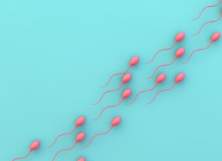 Mexican researchers find key to reversible male contraception Mexican researchers find key to reversible male contraception