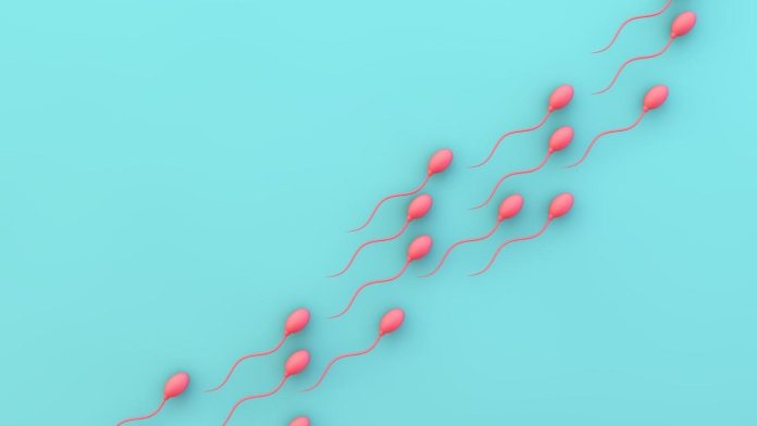 Mexican researchers find key to reversible male contraception