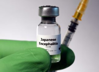 Stay Safe on Your Next Trip: Get the Japanese Encephalitis Vaccine at Walgreens Stay Safe on Your Next Trip: Get the Japanese Encephalitis Vaccine at Walgreens