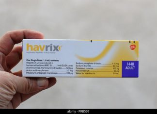 Understanding the Recommended Havrix Vaccine Schedule for Adults: One or Two Doses Needed Understanding the Recommended Havrix Vaccine Schedule for Adults: One or Two Doses Needed