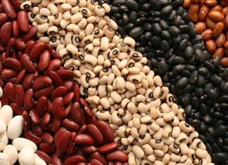 3 Conditions that cause bloating: Safe foods and which ones to avoid 3 Conditions that cause bloating: Safe foods and which ones to avoid