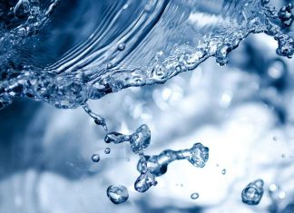 Scientists discover two types of cells that regulate thirst Scientists discover two types of cells that regulate thirst
