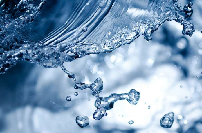 Scientists discover two types of cells that regulate thirst