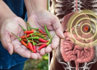 Chili Pepper Reduces Risk of Colorectal Tumors- Read the Correlation! Chili Pepper Reduces Risk of Colorectal Tumors- Read the Correlation!