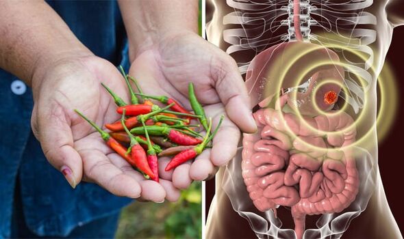 Chili Pepper Reduces Risk of Colorectal Tumors- Read the Correlation!