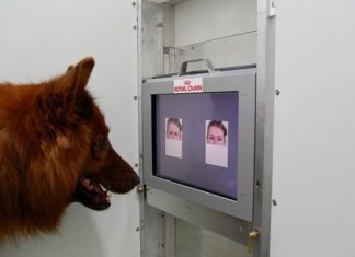 Dogs can sense human emotion visually Dogs can sense human emotion visually