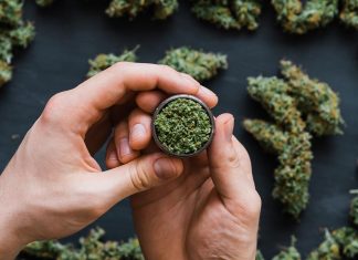 Cannabis use in pregnancy Dr. Dreher explains research no differences at all Cannabis use in pregnancy Dr. Dreher explains research no differences at all