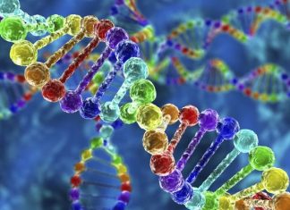 Exome sequencing improves diagnosis of neurogenetic disorders Exome sequencing improves diagnosis of neurogenetic disorders