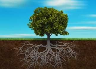 Good will hunting in metaphysical grounding Good will hunting in metaphysical grounding