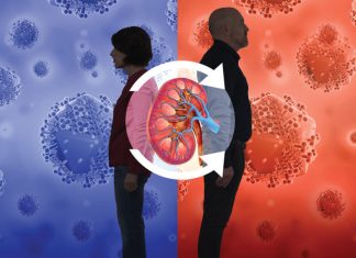 HIV-to-HIV transplants provide new hope for treatment HIV-to-HIV transplants provide new hope for treatment