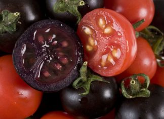 Ready to try purple bread? The new wannabe superfood Ready to try purple bread? The new wannabe superfood