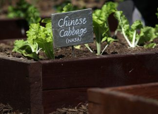 Another cancer-causing reason to avoid grabbing fast-food tonight Another cancer-causing reason to avoid grabbing fast-food tonight