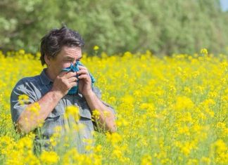 Where should I travel if I have pollen allergies? Where should I travel if I have pollen allergies?