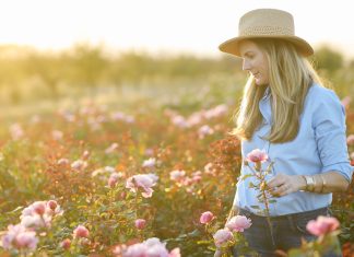 Moonlit Blooms: Crafting a Bluegrass Song About a Field of Flowers Compose a bluegrass song about a field of flowers in the moonlight