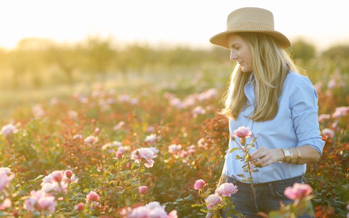 Compose a bluegrass song about a field of flowers in the moonlight