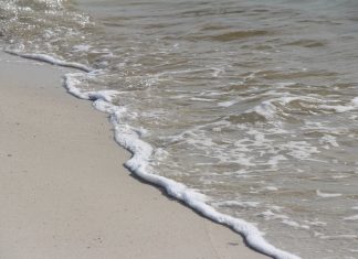 The Mysteries of Ocean Tides: Fascinating Facts Revealed Share some fascinating facts about ocean tides