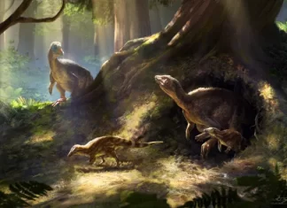 The Birthplace of Dinosaurs: Scientists Uncover the Origins of Prehistoric Giants I heard scientists have pinpointed the birthplace of dinosaurs—is that true?