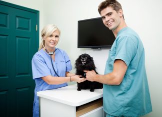 Why Healthcare Jobs Are in High Demand in 2025: Key Factors and Salary Insights Healthcare jobs are highly sought after this year, especially positions like veterinarians