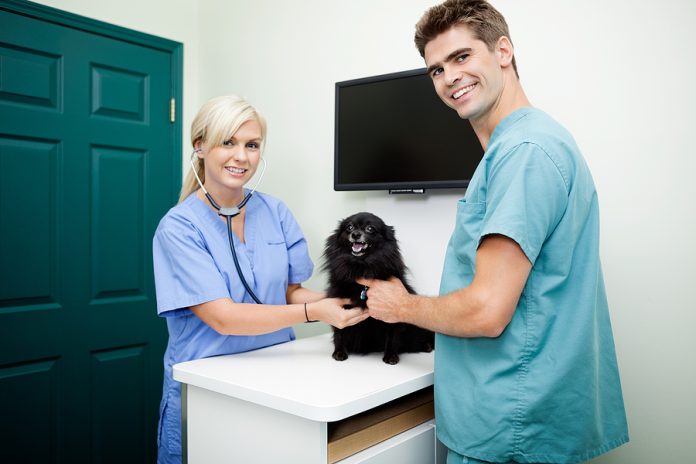 Healthcare jobs are highly sought after this year, especially positions like veterinarians